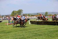 07th Romantic and K M Smith ( 3 , white, black panel ) Trainer - Matthew J Smith , Owner - Kevin John Smith