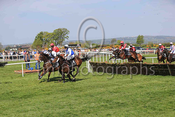 07th Romantic and K M Smith ( 3 , white, black panel ) Trainer - Matthew J Smith , Owner - Kevin John Smith