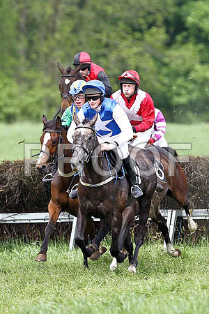 Fifth Race Div 1 - Anforah (11) 6th, Rider J T Rath & Carlinty (16) Winner, Rider W Thompson - FT8E0375-e