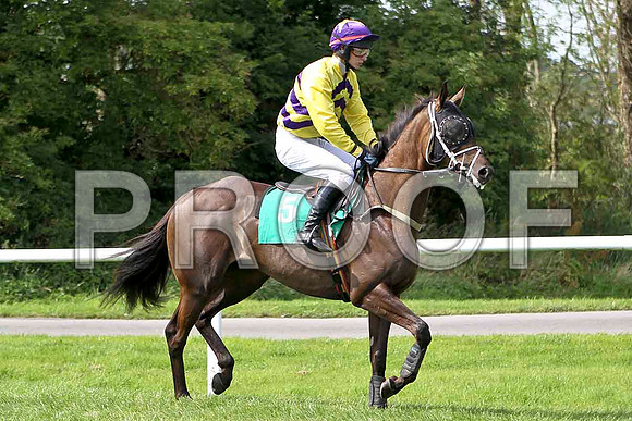 Mighty Whitey 3rd, Jockey Mr D R Fox- FT8E2923-e