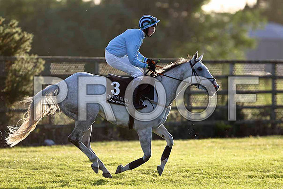Casual Encounter 10th, Jockey K K Woods - FT8E1168-e