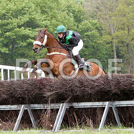 St Matthew, Unplaced, Jockey Ms C A Sloan - FT8E2549-e2