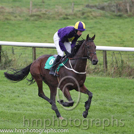 08 Seamus Mor & M P Fogarty - PU (6, purple, yellow diamond ) - FT8E8893-2