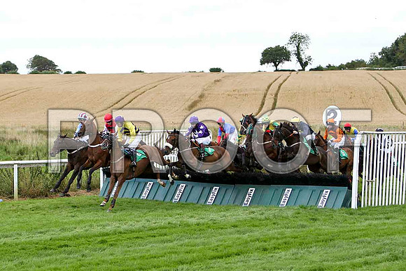 Banellie  Winner, Jockey D R Fox in the lead - FT8E3944-e