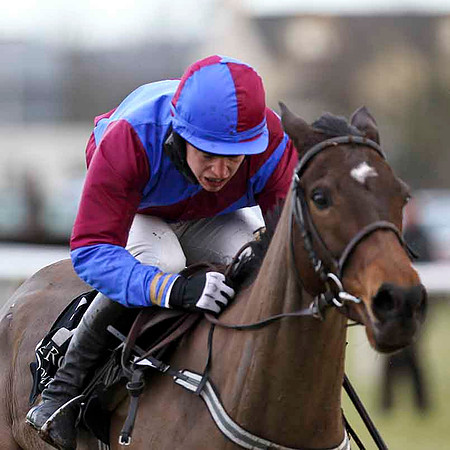 Daneva - 12th - Jockey I J McCarthy - CU2D3197-e