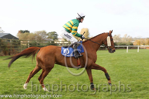 16 Dear Boss & A P McCoy - 16th (10, emerald green and orange hooped) - CU2D8918-27