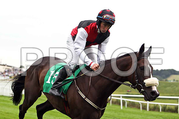 Garamor Boy 2nd , Jockey M W Bowes - CU2D0882-e
