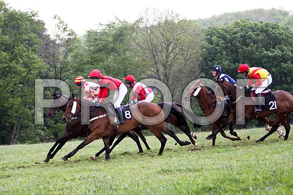 Miss Katelyn , 2nd, Jockey D L Queally & Banaway (8) , 4th, Jockey N McParlan -   - FT8E2574-e