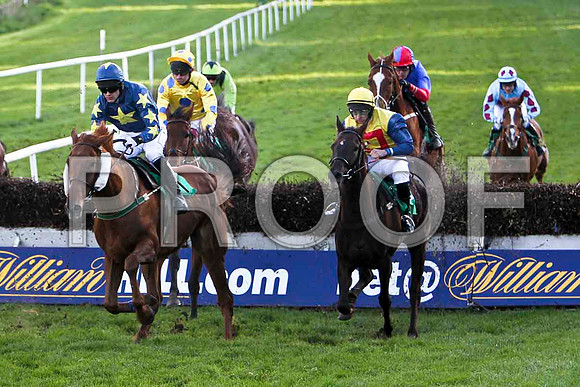 Moscow Towers in 2nd place, Jockey M Darcy - 7th - CU2D9438-e