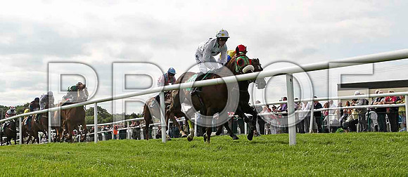 Casadie 5th, Jockey Andrew J McNamara in the lead  - FT8E3057-e