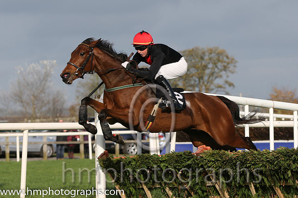 01 Scooping and C D Maxwell - - 01st (12 ,black, red panel ) Trainer - E D Delany
