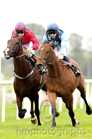 01st Downforce ( 2 , dark blue, light blue stars ) and D.P. McDonogh - Trainer : W. McCreery - Owner : Mrs A.M. Burns