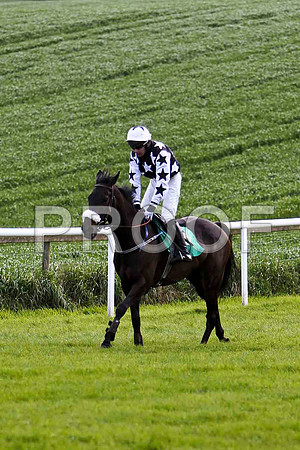 Croi Laidir , 8th, Jockey - A P THornton - FT8E2896-e