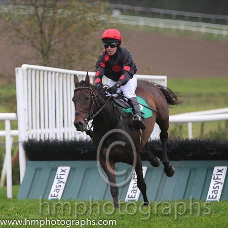 01 SomethingPrecious and D J Howard - - 01st (8 ,Black, three red spots ) Trainer - Daniel Howard