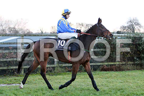 Barneys Honour - 8th - Jockey D J Bates - CU2D0789-e