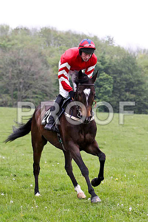 Traad Bay, 4th, Jockey - W Thompson - FT8E2626-e