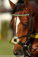 Downpatrick