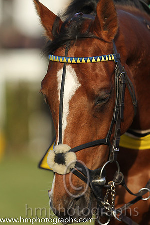 Downpatrick