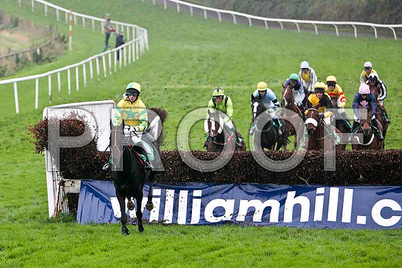 Hidden Profit , Fell - Jockey C D Maxwell in the lead - FT8E5478-e