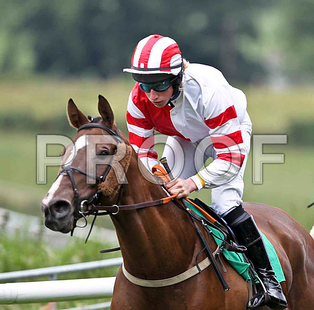 Corrado Suprano 6th, Jockey Mr M P Fogarty - FT8E1822-e