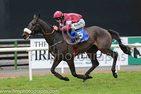 01st Wolfslair and D J Mullins ( 5 , naroon, white star, maroon cap ) Trainer - G Elliott , Owner - Gigginstown House Stud