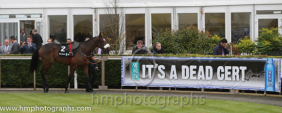 07 Tiger Roll and B J Cooper - PU - 07th (2 ,maroon white star ) Trainer - G Elliott