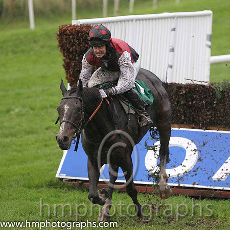 05 Garamor Boy & R P Treacy - 5th (8, black and royal blue hoops ) - FT8E9121-26