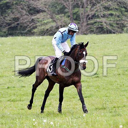 Lady Shirley , Winner, Jockey - Derek O'Connor - FT8E2614-e