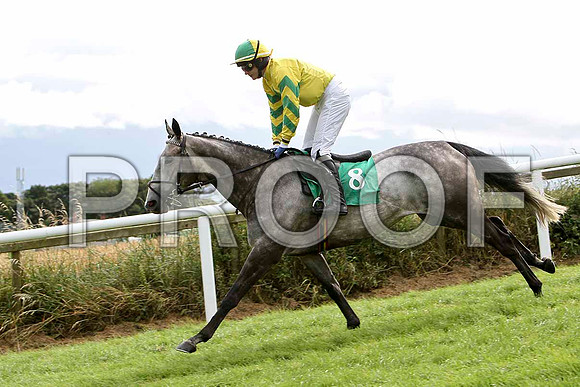 Black Rock Lake - Winner, Jockey P Townend - FT8E3881-e
