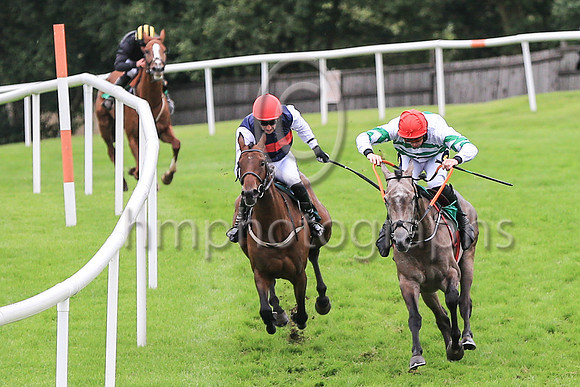 01st Curlew Hiland Mr J J Codd ( 2 , white, green chevrons ) Trainer - G Elliott , Owner - Noel Moran  Mrs Valerie Moran