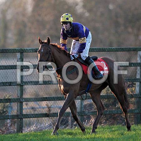 Big Generator - 2nd , Jockey Mr B O'Neill - CU2D0017-e2