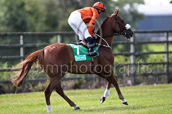South Wing 10th, Jockey N G McCullagh - FT8E1285-e