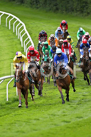 Banellie in the lead, finished 4th, Jockey M M O'Connor - FT8E1660-e