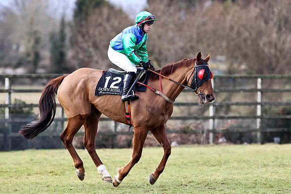 McPaddy - 4th - Jockey A D Leigh - CU2D3150-e