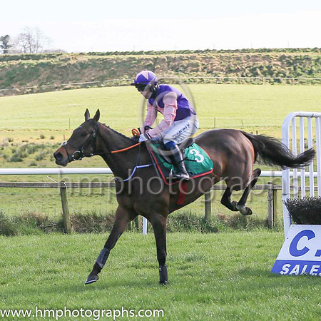 01st Stranger Danger and J C Gainford7 ( 3 , purple, pink star ) Trainer - Mrs D Foster , Owner - James W Power