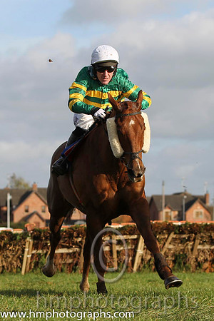 16 Dear Boss & A P McCoy - 16th (10, emerald green and orange hooped) - FT8E9943-66