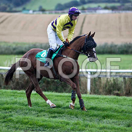 Banellie - Winner , Jockey D R Fox - FT8E3934-e