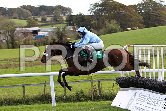 Indubitably , Jockey L McNiff - 3rd - CU2D9187-e