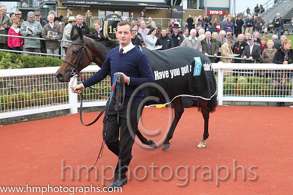 01 Little King Robin and M P Walsh - - 01st (7 ,royal blue and yellow halvd ) Trainer - Colin Bowe