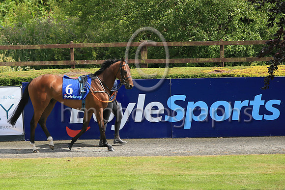 01st Urban Oasis (6 red, blue seams ) Jockey: Jamie Powell7 , Trainer: John James Feane