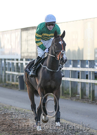 01 Jezki & A P McCoy - winner (1,emerald green and orange hooped ) - FT8E0008-2
