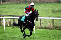 Father Shine , 7th - Jockey R Loughran - FT8E5253-e
