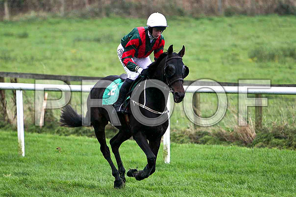Father Shine , 7th - Jockey R Loughran - FT8E5253-e