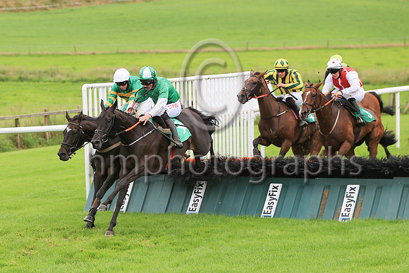 01st Insane Bolt and D N Russell ( 9 , green, green and white sleeves ) Trainer - G Elliott , Owner - McDonnell's Bar Racing Syndicate