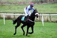 Maddoxtown , 4th - Jockey B M Cash - FT8E5252-e