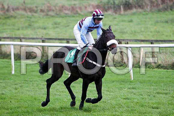 Maddoxtown , 4th - Jockey B M Cash - FT8E5252-e