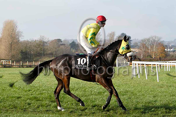 Templar Knight 9th , Jockey - E J McNamara - FT8E6851-e3