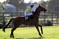 Logan's Manor PU, Jockey S W Jackson - FT8E0992-e