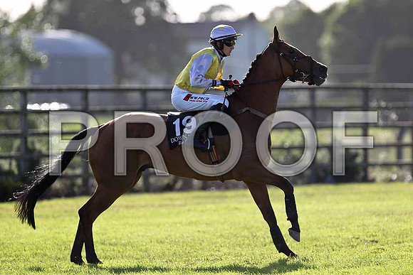 Logan's Manor PU, Jockey S W Jackson - FT8E0992-e