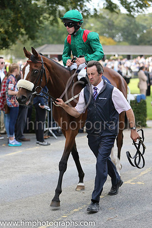 03 Silwana and L F Roche - - 03rd (14 ,green, red epaulettes ) Trainer - D K Weld